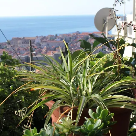 With Wifi - 8554 Ragusa