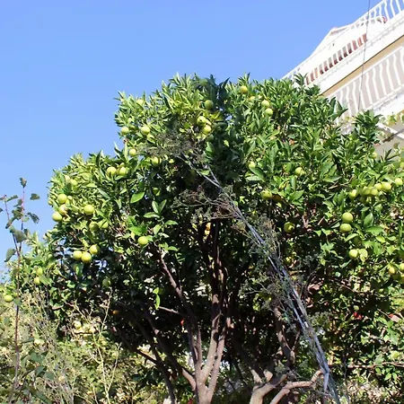 With Wifi - 8554 Appartamento *