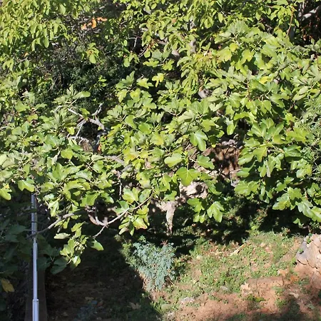 With Wifi - 8554 Appartement