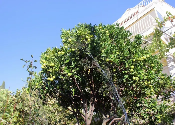 With Wifi - 8554 Daire *