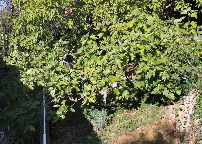 With Wifi - 8554 Daire